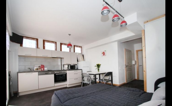 location-vacances-vosges-gerardmer-studio-ge001-s246a-350235