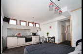 location-vacances-vosges-gerardmer-studio-ge001-s246a-350235