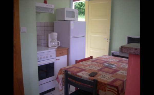 location-vacances-appartement-vosges-rochesson-gj003-248605