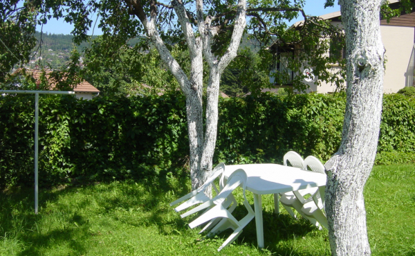salon jardin2