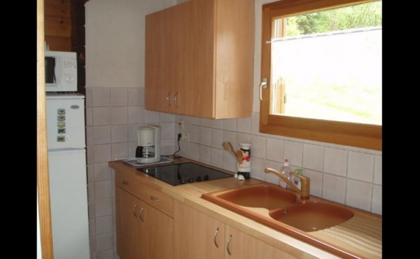 location-vacances-chalet-xonrupt-longermer-vosges-gl013-174164