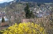 05hl4jb67envunodx5tf3atagkooe764chhq3bgyo_resultat_resultat