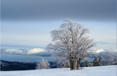 Les Vosges en hiver