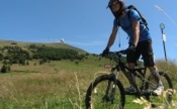 vtt