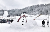 Bonhomme de neige à la MAUSELAINE