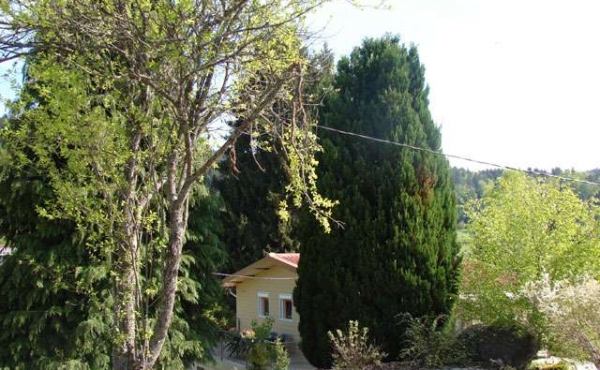 800x600_location-vacances-chalet-vosges-le-tholy-gc029-c936a-155481
